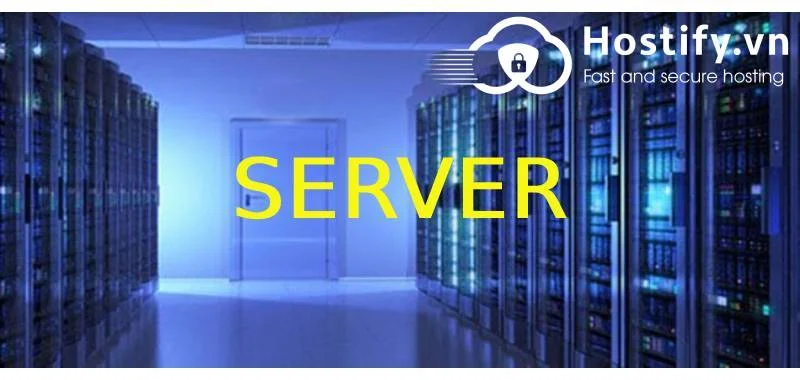 Server là gì? Lợi ích của những loại server phổ biến nhất hiện nay