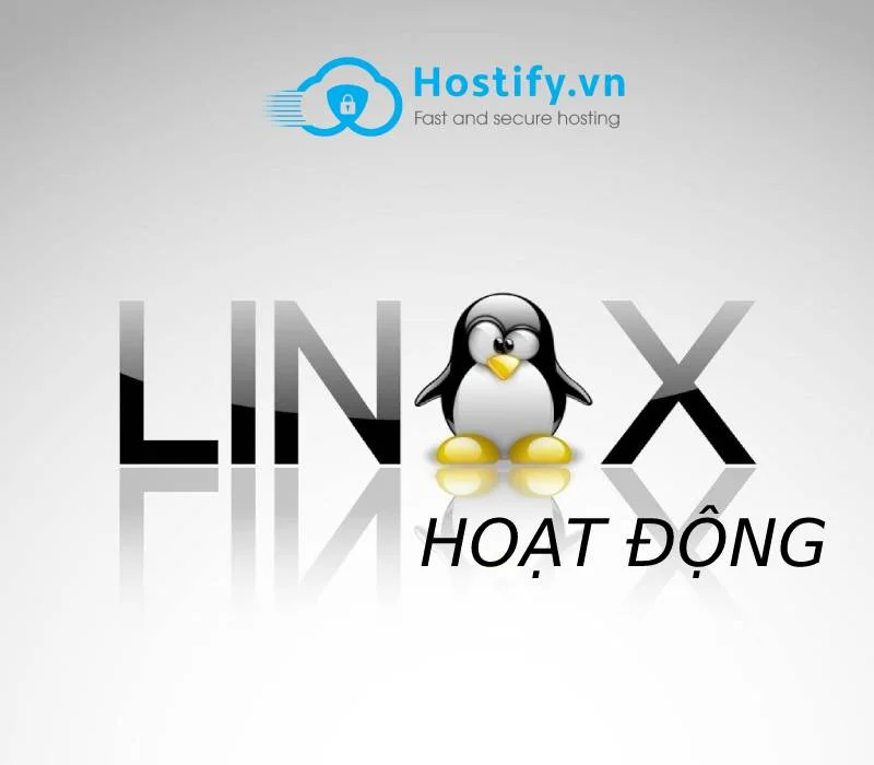 Linux là gì? Cùng Hostify.vn tìm hiểu về hệ điều hành Linux