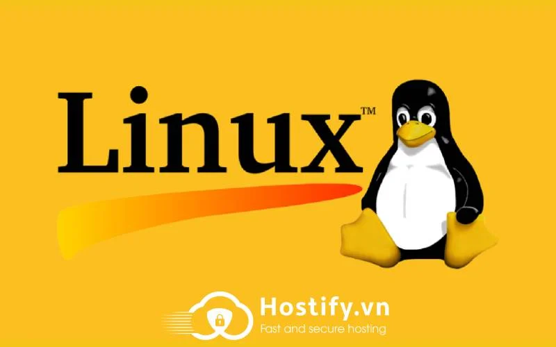 Linux là gì? Cùng Hostify.vn tìm hiểu về hệ điều hành Linux