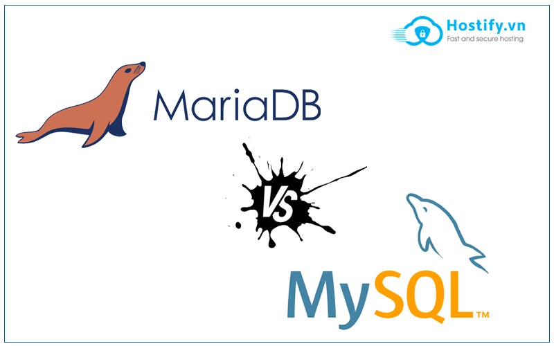 So sánh giữa MySQL và MariaDB là gì?