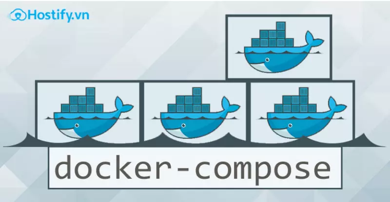 Docker là gì? Kiến thức cơ bản về Docker
