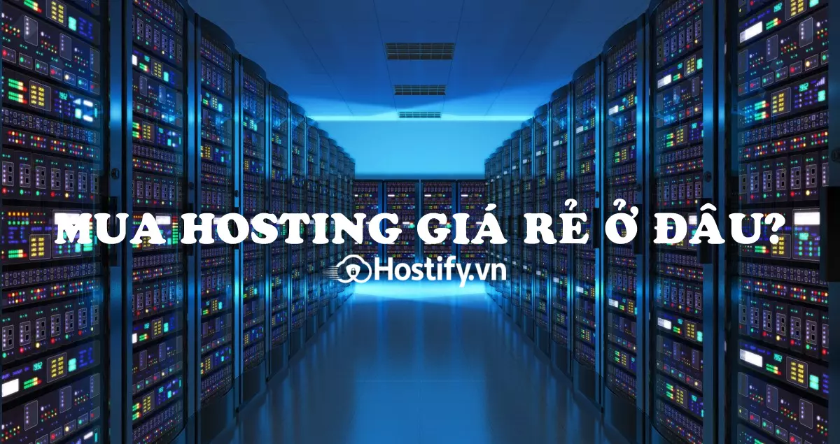 Nên mua Hosting giá rẻ ở đâu uy tín chất lượng 2022