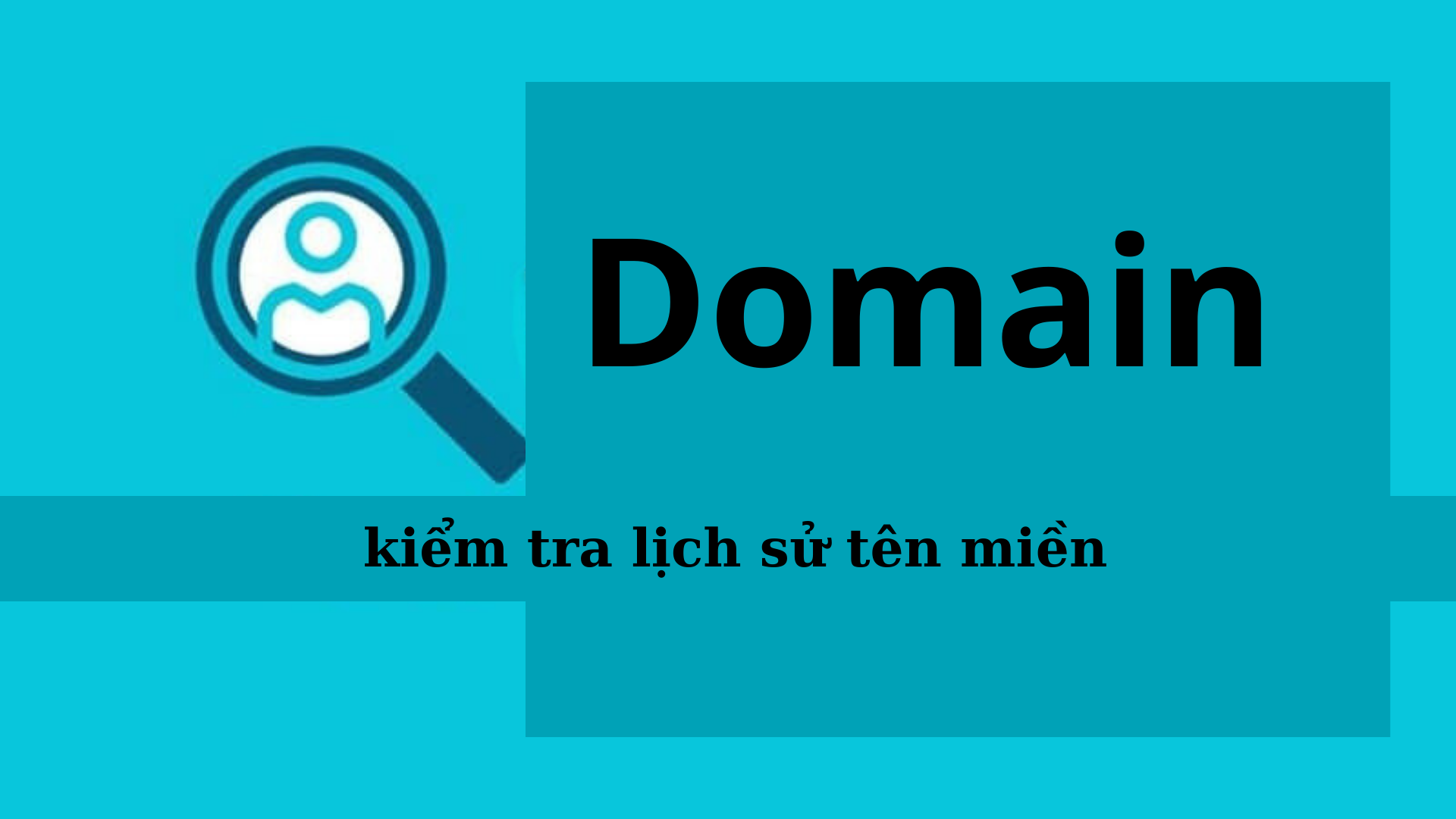 5 công cụ kiểm tra lịch sử tên miền đáng tin cậy3